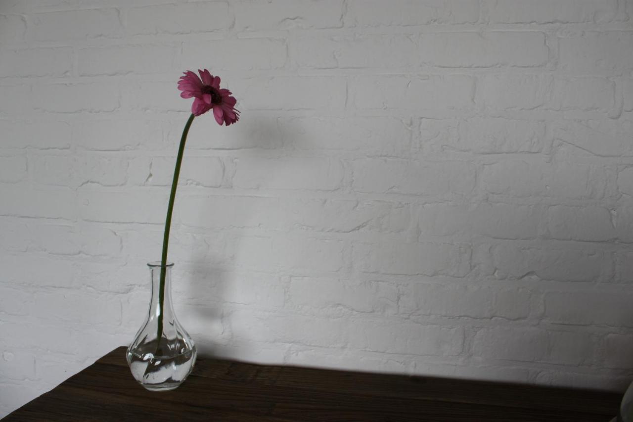 B&B 'T Hoogste Bornem Dış mekan fotoğraf