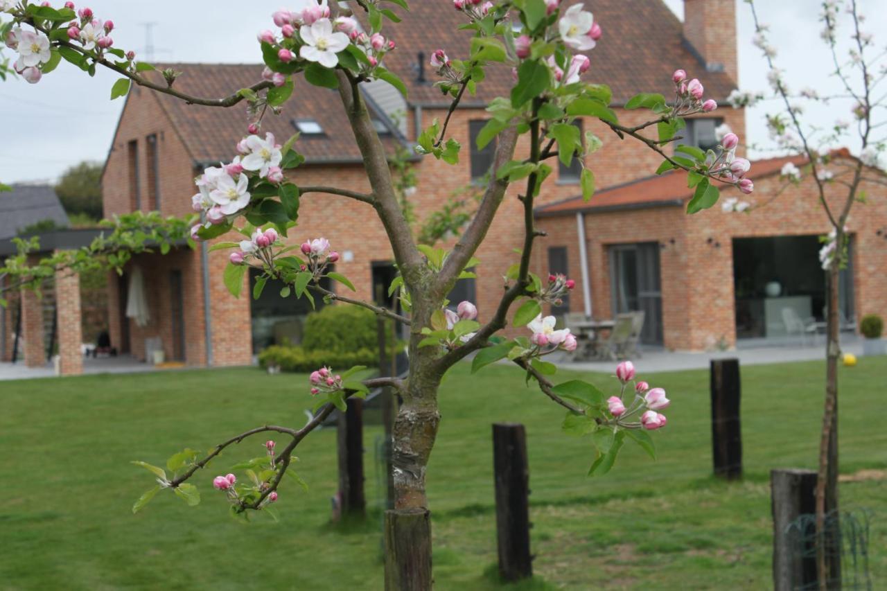 B&B 'T Hoogste Bornem Dış mekan fotoğraf